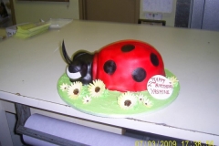 Birthday & Novelty Cake #2