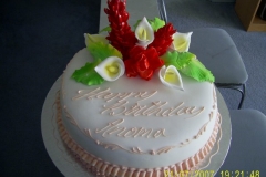 Birthday & Novelty Cake #19