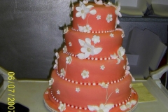 Wedding & Shower Cake #1
