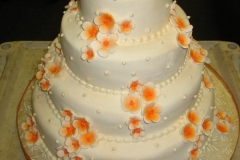 Wedding & Shower Cake #13