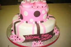 Baby Shower Cake #9