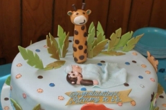 Baby Shower Cake #13