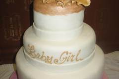 Baby Shower Cake #14