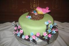 Baby Shower Cake #15