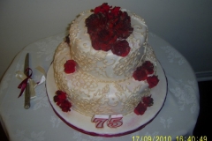 Birthday & Novelty Cake #18