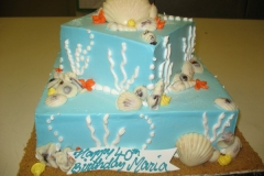 Birthday & Novelty Cake #42