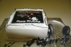 Birthday & Novelty Cake #49