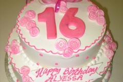 Birthday & Novelty Cake #54