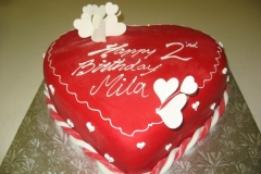 Birthday & Novelty Cake #59