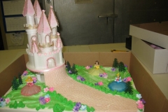 Birthday & Novelty Cake #65