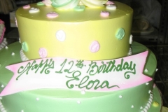 Birthday & Novelty Cake #66
