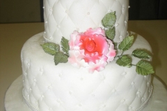 Birthday & Novelty Cake #86