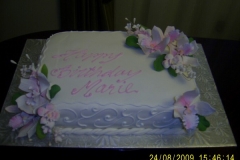Birthday & Novelty Cake #97