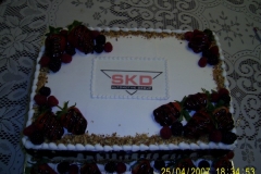 Birthday & Novelty Cake #131