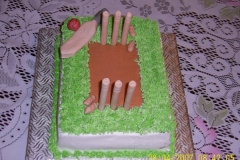 Birthday & Novelty Cake #132