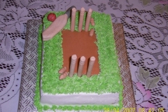 Birthday & Novelty Cake #132