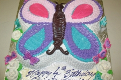 Birthday & Novelty Cake #155