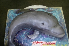 Birthday & Novelty Cake #170