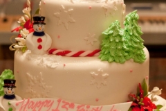 Birthday & Novelty Cake #196