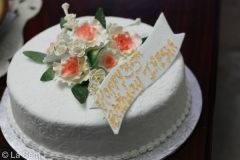 Birthday & Novelty Cake #198