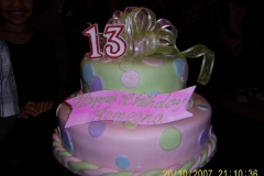 Birthday & Novelty Cake #216