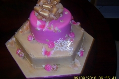 Birthday & Novelty Cake #220