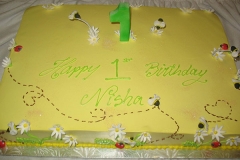Birthday & Novelty Cake #233
