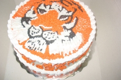 Birthday & Novelty Cake #252