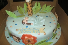 Birthday & Novelty Cake #260