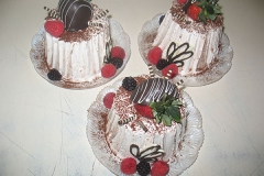 Birthday & Novelty Cake #261