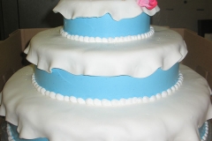 Birthday & Novelty Cake #269