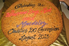 Birthday & Novelty Cake #275