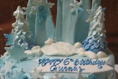 Birthday & Novelty Cake #309
