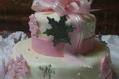 Birthday & Novelty Cake #303