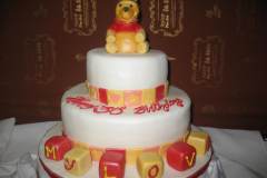 Birthday & Novelty Cake #302