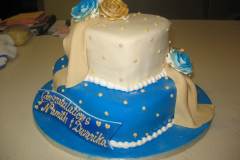 Birthday & Novelty Cake #318