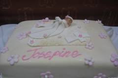 Birthday & Novelty Cake #386