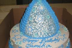 Birthday & Novelty Cake #338