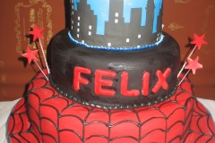 Birthday & Novelty Cake #327