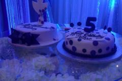 Birthday & Novelty Cake #336