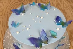 Birthday & Novelty Cake #422