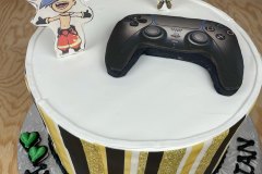 Birthday & Novelty Cake #425