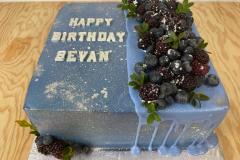 Birthday & Novelty Cake #430