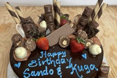 Birthday & Novelty Cake #446