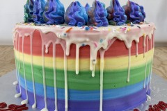 Birthday & Novelty Cake #448