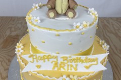 Birthday & Novelty Cake #458