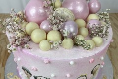 Birthday & Novelty Cake #463
