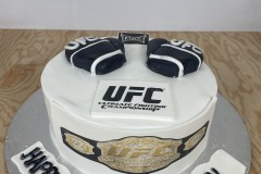 Birthday & Novelty Cake #469