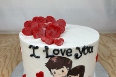 Birthday & Novelty Cake #471