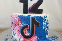 Birthday & Novelty Cake #472
